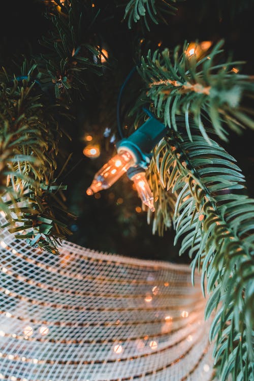 有关事件, 作文, 假日的免费素材图片