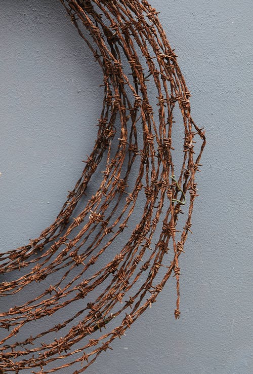 棕色和黑色圆形装饰 · 免费素材图片