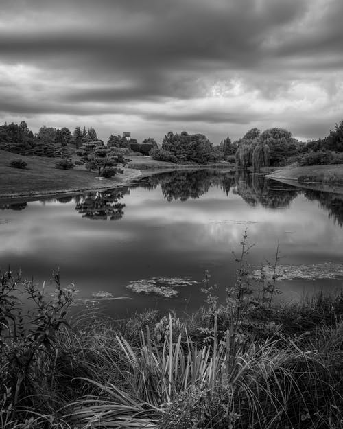 有关bw, 不变, 冷静的免费素材图片
