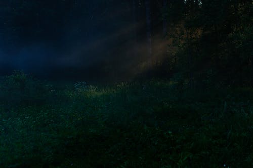 有关不变, 公园, 冷静的免费素材图片