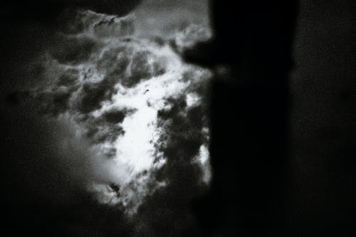 有关bw, 从下面, 低角度的免费素材图片