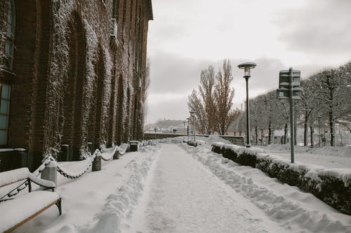 有关下雪的, 冬季, 冷的免费素材图片