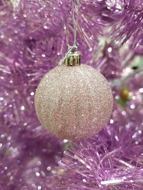 有关垂直拍摄, 挂, 特写的免费素材图片