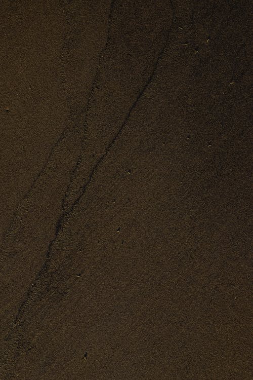 棕沙与人的影子 · 免费素材图片