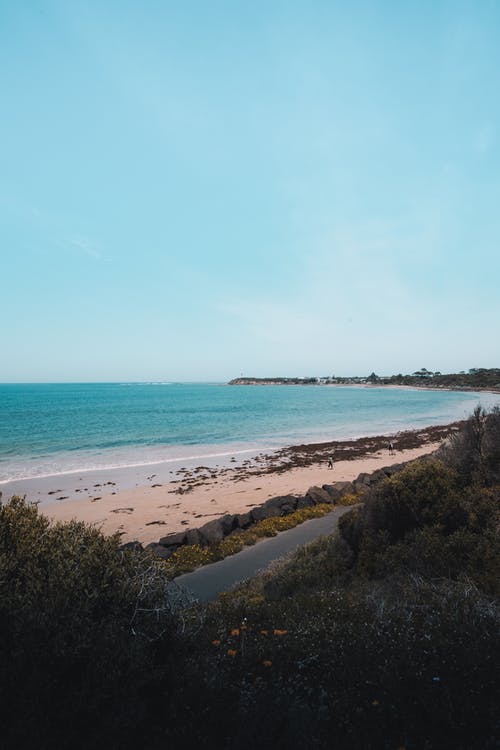 有关假期, 垂直的, 夏天的免费素材图片