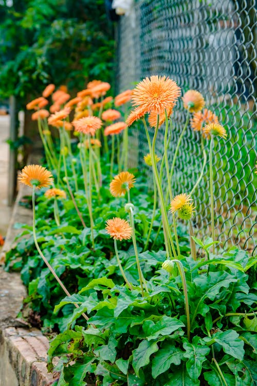 有关垂直拍摄, 增长, 天性的免费素材图片