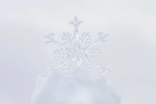 有关元素, 光, 冬季的免费素材图片