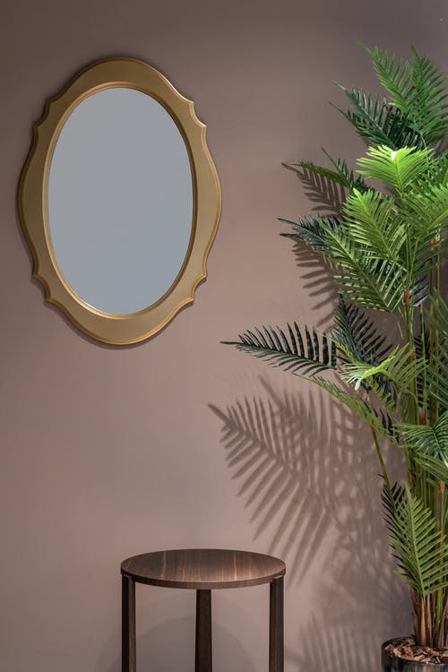 圆镜旁的绿色棕榈植物 · 免费素材图片