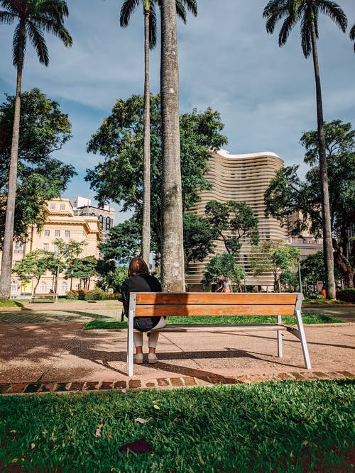 有关公园, 坐, 垂直拍摄的免费素材图片