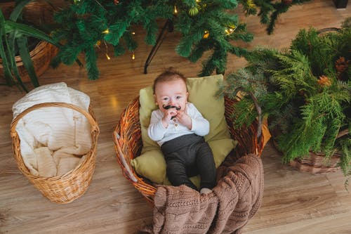 可爱的小宝贝在圣诞树旁的篮子里 · 免费素材图片