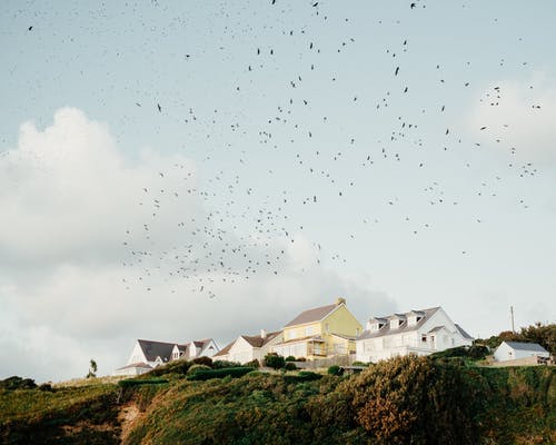 白色和棕色的房子，在白多云的天空下的绿草田 · 免费素材图片