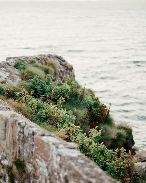 有关不变, 冷静, 和平的的免费素材图片