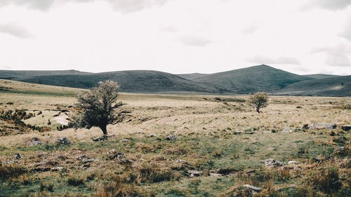 有关不变, 全景, 和平的的免费素材图片