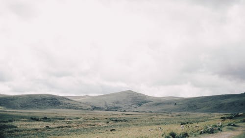白云下山附近的绿草田 · 免费素材图片