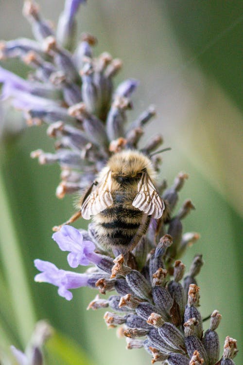 有关垂直拍摄, 天性, 微妙的免费素材图片