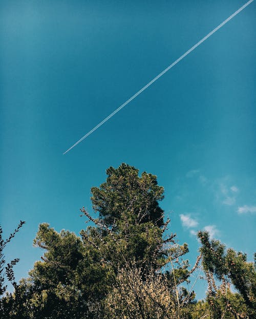 有关不变, 从下面, 低角度的免费素材图片