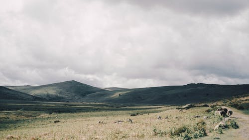 有关乾的, 全景, 冷静的免费素材图片