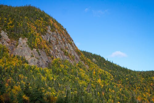 有关侵蚀, 冷杉, 原本的免费素材图片