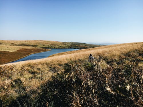 水体附近的绿草田 · 免费素材图片