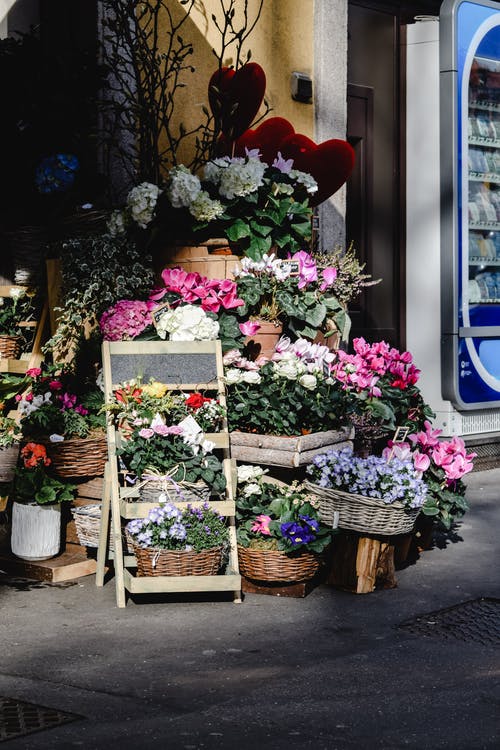 布朗编织篮子里的花 · 免费素材图片