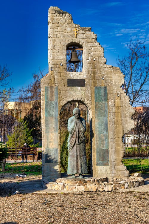 有关垂直的, 树木, 灰色混凝土的免费素材图片