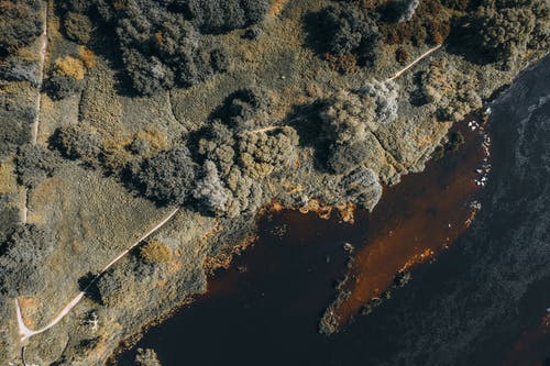 有关下落, 俯視圖, 天性的免费素材图片