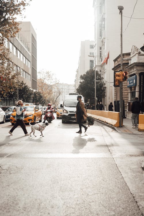 有关covid-19, 中央, 交通的免费素材图片