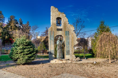 有关树木, 灰色混凝土, 蓝天的免费素材图片