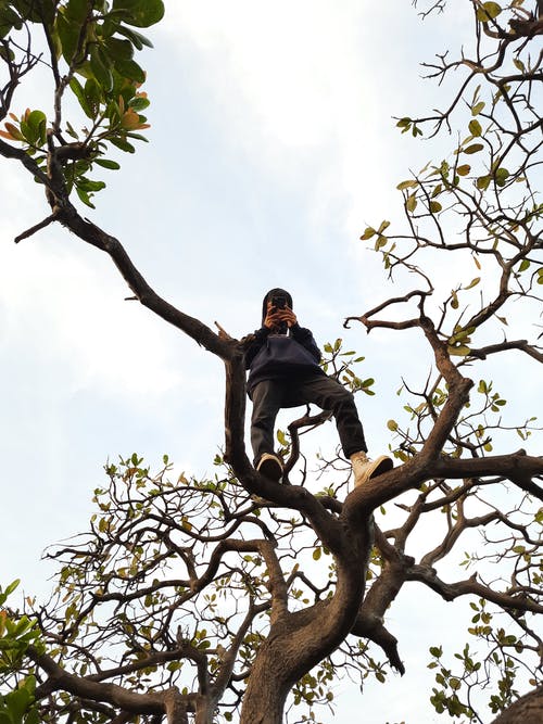 有关3C用品, 不怕, 不露面的免费素材图片