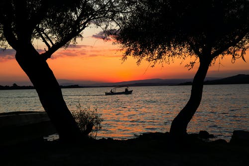 有关側面, 傍晚的太陽, 天性的免费素材图片