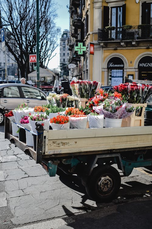 绿色实用拖车上的白色和粉红色的花朵 · 免费素材图片