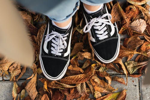有关vans（运动鞋品牌）, 尺, 秋叶的免费素材图片