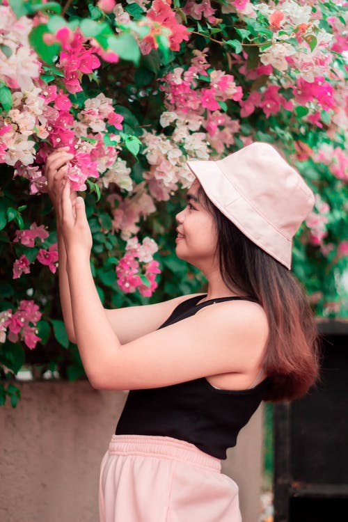 有关九重葛, 侧面图, 垂直拍摄的免费素材图片