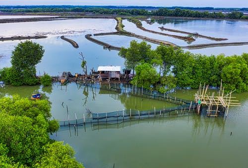 有关农艺学, 受气候侵蚀的, 增长的免费素材图片