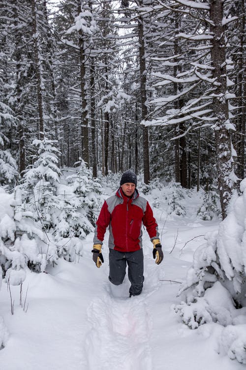 有关不变, 人, 公园的免费素材图片
