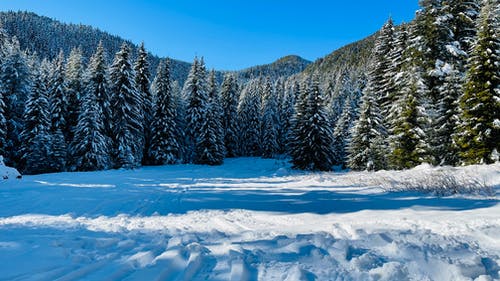 有关冬季景观, 冷, 冻结的的免费素材图片