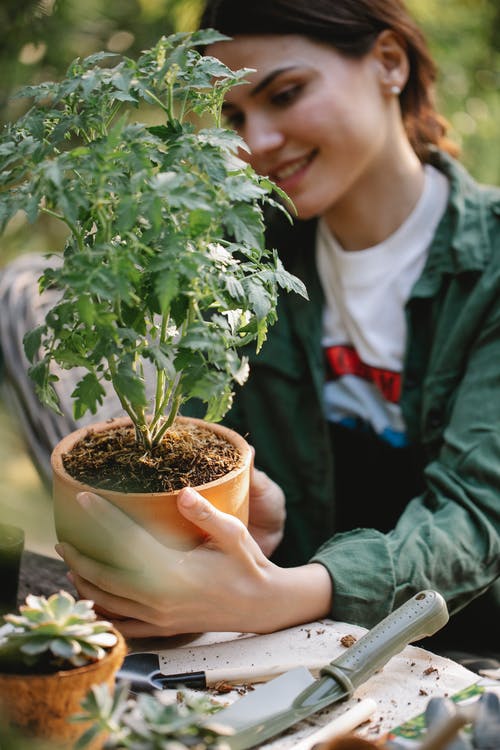 拿着绿色的植物的白色长袖衬衫的男孩 · 免费素材图片