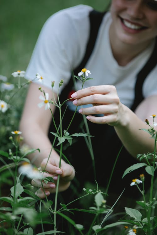 拿着白花的白衬衫的女人 · 免费素材图片