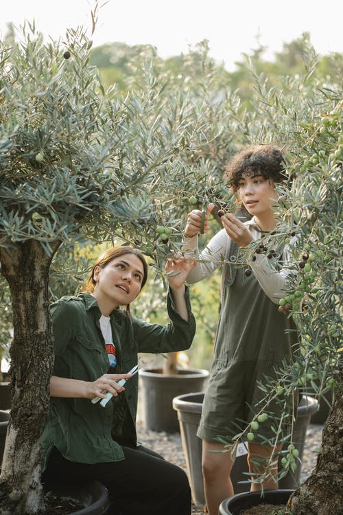 黑色背心控股男孩穿着灰色长袖衬衫的女人 · 免费素材图片