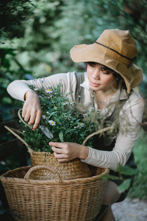 拿着绿色的植物的白色长袖衬衫的女人 · 免费素材图片
