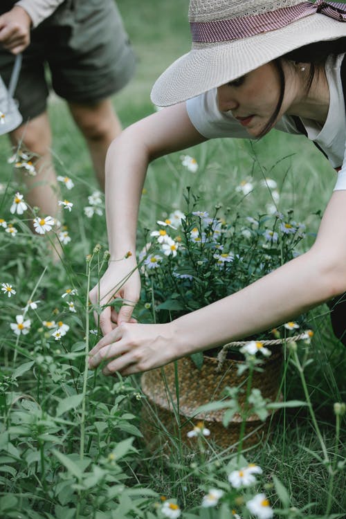 灰色的圆领t恤和灰色的针织帽，拿着白花的女人 · 免费素材图片