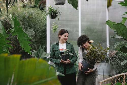 男人和女人抱着绿色的植物 · 免费素材图片