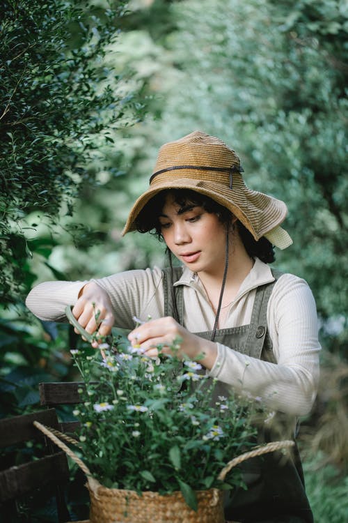 灰色长袖衬衫和棕色的帽子，拿着白花的女人 · 免费素材图片