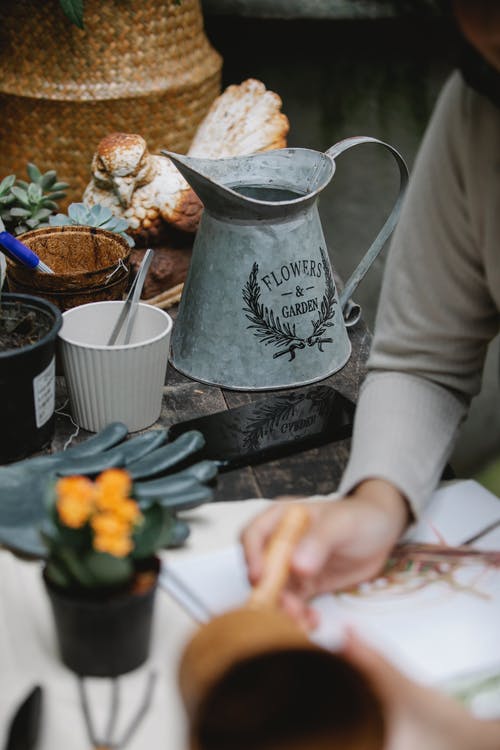 拿着白皮书的白色长袖衬衫的人 · 免费素材图片