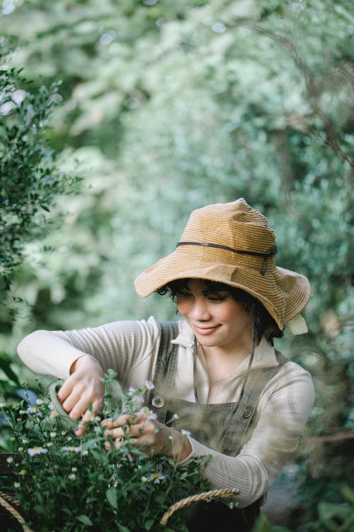 灰色长袖衬衫，戴着棕色草帽，拿着白花的女人 · 免费素材图片