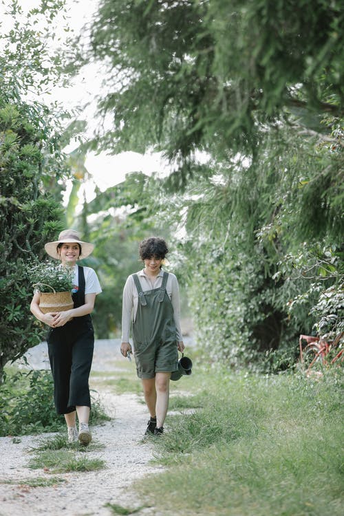 男人和女人在绿草地上行走时手牵着手 · 免费素材图片