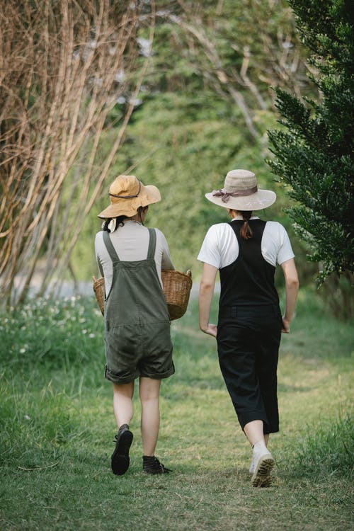 白衬衫和黑色的裙子，戴着棕色草帽在绿色草地上行走的女人 · 免费素材图片