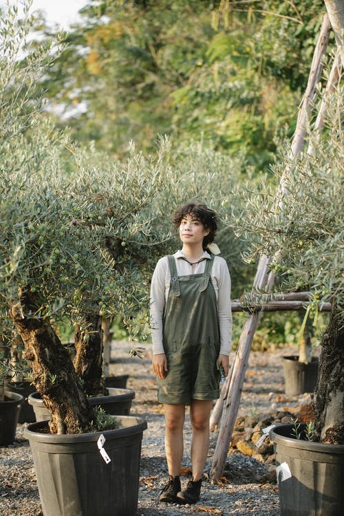 站在绿色的植物附近的灰色长袖衬衫的男孩 · 免费素材图片