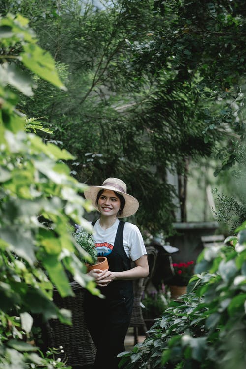 白衬衫和棕色帽子站在绿叶树附近的女人 · 免费素材图片