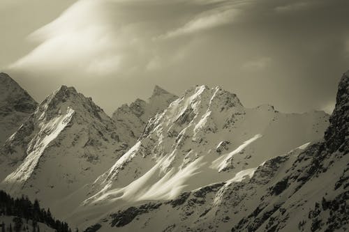 有关冬季, 大雪覆盖, 天性的免费素材图片